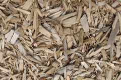 biomass boilers Prisk
